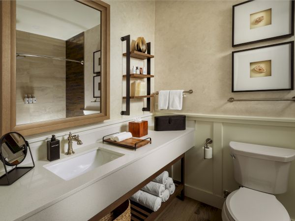 A clean, modern bathroom with a countertop, sink, mirror, toilet, and shelves with decor and toiletries.