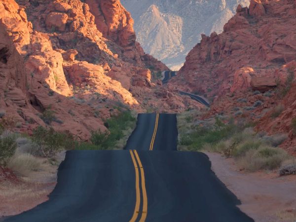 A long, winding road cuts through a red rock canyon, flanked by desert shrubs, leading toward distant, rugged cliffs under a blue sky.
